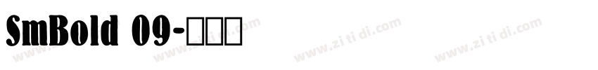 SmBold 09字体转换 SmBold 09字体转换